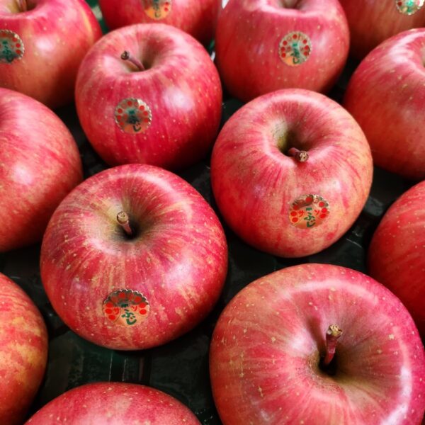 【贈答用】葉とらずサンふじ‐11月下旬～順次発送‐